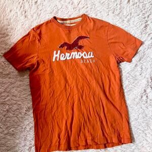 Vintage Hollister Men’s Y2K Beachy Preppy Indie California Coast Frat Boy Tshirt
